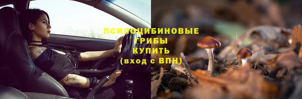 mdma Бородино
