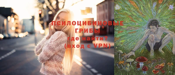mdma Бородино