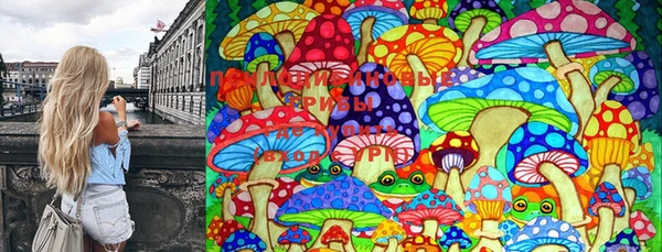 mdma Бородино