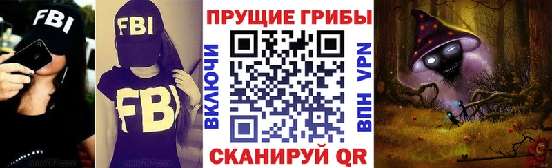 Псилоцибиновые грибы мицелий  Купить закладки  Фролово 